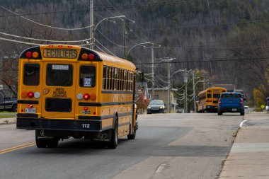 Kanada, 03 Kasım 2025: İki sarı okul otobüsü küçük sessiz bir kasaba caddesinden geçiyor