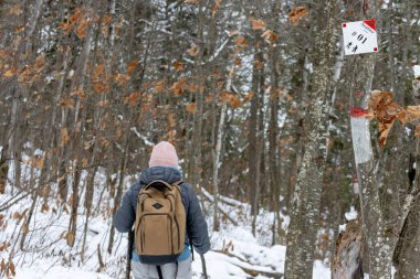 Kanada, 15 Kasım 2025: Kış yürüyüşçüsü kırmızı işaretli karlı orman patikalarını keşfediyor