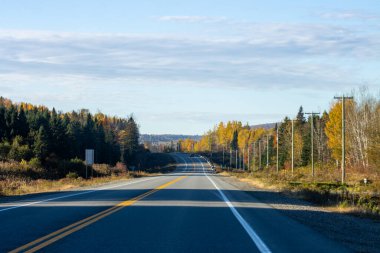 Kanada, 11 Ekim 2025: Orman sonbahar ağaçlarının arasında uzanan uzun ve boş kırsal yol