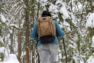 Kanada, 15 Kasım 2025: Yürüyüş yürüyüşü sırt çantası ve bastonla karlı ormanda