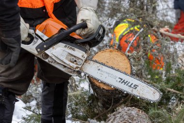 Kanada, Quebec, 05 Aralık 2025: Ağaç kesme sırasında karlı ormanda taze odun kesen elektrikli testere.