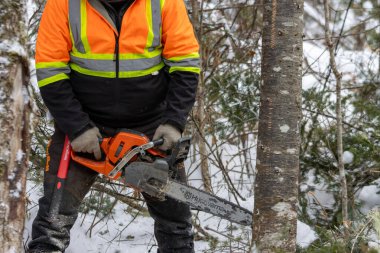Kanada, Quebec, 05 Aralık 2025: Parlak güvenlik ceketi giyen oduncu, karlı ormanda elektrikli testere hazırlıyor