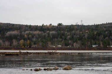 Kanada, Quebec, 29 Ekim 2025: Bulutlu gökyüzü, orman yamacı, evler, nehir, kütükler, elektrik hatları, yalnızlık