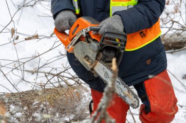 Kanada, Quebec, 05 Aralık 2025: Karlı kış gününde devrilmiş ağaç dallarını elektrikli testereyle kesmek