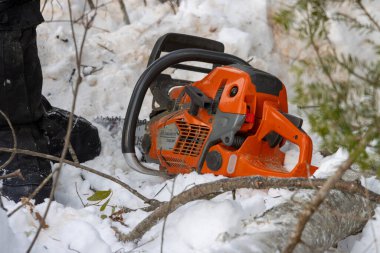 Kanada, Quebec, 05 Aralık 2025: Motorlu testere botların yanında ve düşen dalın üzerinde dinleniyor
