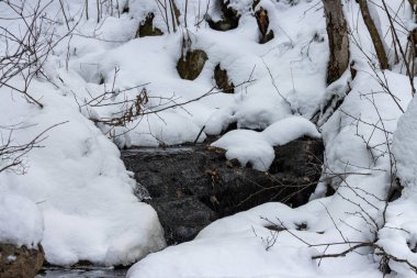 Canada, Quebec, 15 November 2025 : Winter stream flowing gently through snow covered forest and stones