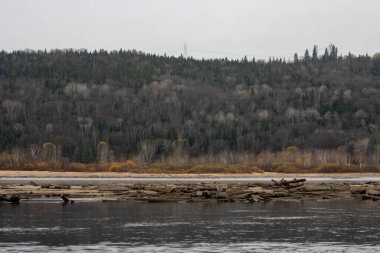Kanada, Quebec, 29 Ekim 2025: Sonbahar ağaçları ve uzak orman odunlarıyla bulutlu nehir kıyısı