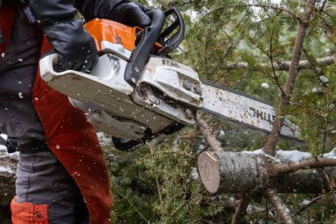 Kanada, Quebec, 05 Aralık 2025: Kısa kış aylarında testereyle devrilen ağaç dallarını kesmek