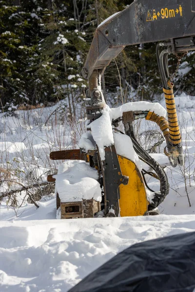 Kanada, Quebec, 05 Aralık 2025: Kar ormancılık makinesinin kış ormanlarında dinlenen kısmını kapladı