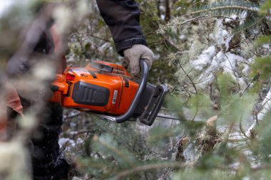 Kanada, Quebec, 05 Aralık 2025: Kış ormanlarında karlı dalları turuncu testere ile kesmek
