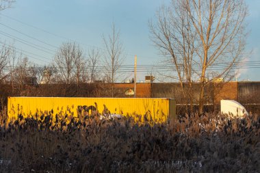 Kanada, Montreal, 26 Aralık 2025: Kuru sazlıklar arasında sarı nakliye konteynırı, endüstriyel arka plan, açık gökyüzü.
