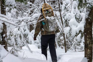 Kanada, 22 Ocak 2026: Karlı ormanda kış yürüyüşü