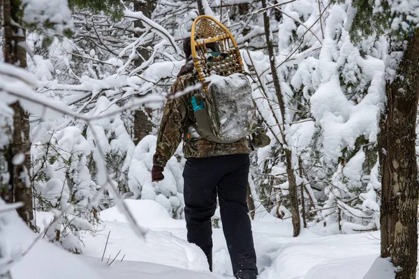 Kanada, 22 Ocak 2026: Karlı ormanda kış yürüyüşü