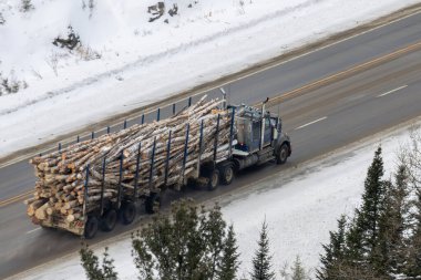 Kanada, 22 Ocak 2026: Karlı yolda odun taşıyan kamyon