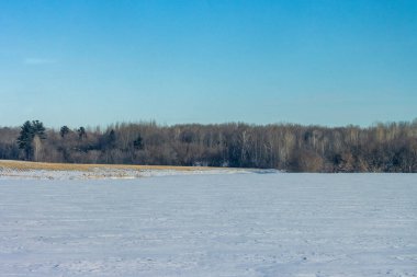 MONTREAL, CANADA, 26 Aralık 2025: karlı arazi, çıplak ağaçlar, açık gökyüzü