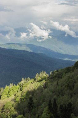 Güzel dağ manzarası, bulutlar yüzüyor, ağaçlar güneş tarafından aydınlatılıyor..