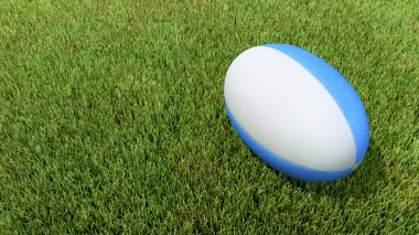 Blue rugby ball on grass V01