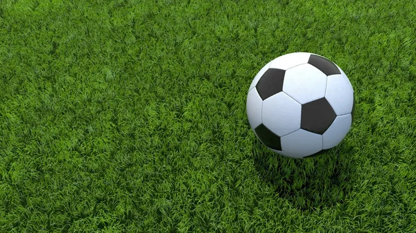 Soccer ball football on grass V02
