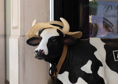 Sokağa bırakılmış şapkalı bir ineğin taklidi. Çekim konsepti