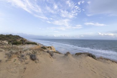 Mazagon 'un güzel plajı, Huelva, İspanya. Uçurumları, kum tepeleri, çam ormanları, doğal bitki örtüsüyle