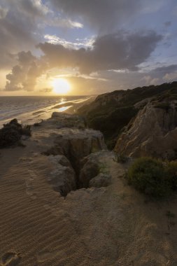 Mazagon 'un güzel plajı, Huelva, İspanya. Uçurumları, kum tepeleri, çam ormanları, doğal bitki örtüsüyle