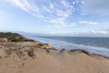 Mazagon 'un güzel plajı, Huelva, İspanya. Uçurumlar, kum tepeleri, çam ormanları, doğal bitki örtüsü ve eşsiz günbatımlarıyla