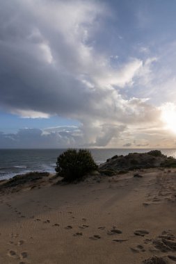 Mazagon 'un güzel plajı, Huelva, İspanya. Uçurumlar, kum tepeleri, çam ormanları, doğal bitki örtüsü ve eşsiz günbatımlarıyla