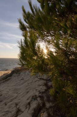 İspanya 'nın en uzun kıyı şeridi Huelva kıyısıdır. Matalascanas 'tan Ayamonte' ye. Uçurumlar, kumullar, çam ağaçları, yeşil bitkiler. İspanya 'nın en güzel plajlarından biri olarak kabul edilir.