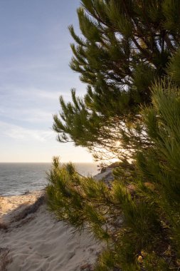 İspanya 'nın en uzun kıyı şeridi Huelva kıyısıdır. Matalascanas 'tan Ayamonte' ye. Uçurumlar, kumullar, çam ağaçları, yeşil bitkiler. İspanya 'nın en güzel plajlarından biri olarak kabul edilir.