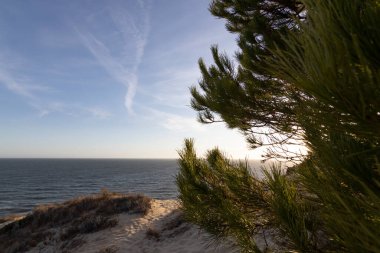 İspanya 'nın en uzun kıyı şeridi Huelva kıyısıdır. Matalascanas 'tan Ayamonte' ye. Uçurumlar, kumullar, çam ağaçları, yeşil bitkiler. İspanya 'nın en güzel plajlarından biri olarak kabul edilir.