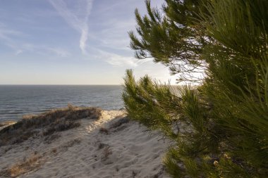 İspanya 'nın en uzun kıyı şeridi Huelva kıyısıdır. Matalascanas 'tan Ayamonte' ye. Uçurumlar, kumullar, çam ağaçları, yeşil bitkiler. İspanya 'nın en güzel plajlarından biri olarak kabul edilir.