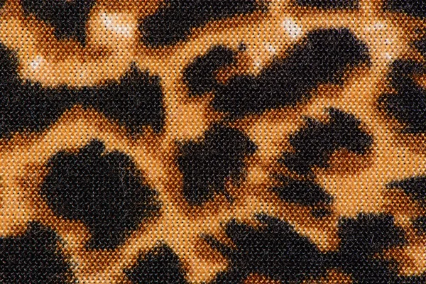 Texture du tissu imprimé léopard rayé pour fond — Photo
