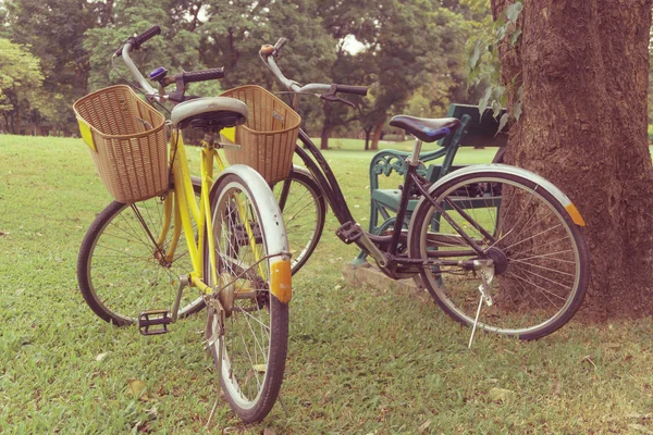 Cykel i parken. Vintage retro effekt stil bilder. — Stockfoto