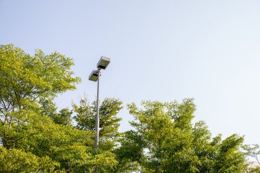 Huzurlu bahçede sokak lambası ağaçları.