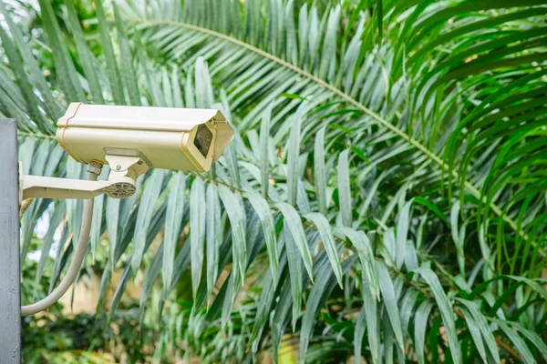 Security camera voor reizen plaats toezicht. — Stockfoto