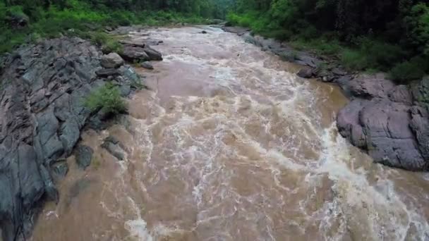 조감도-숲 태국에서에서 화이트 워터 강. — 비디오