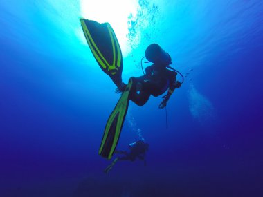 Balık ve deniz anemonları dolu canlı mercan resifi üzerinde yüzen Scuba Divers iki siluetleri.