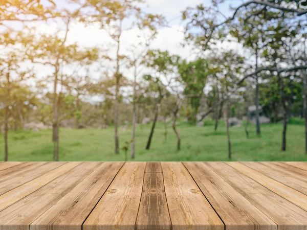 Holzbrett leerer Tisch vor verschwommenem Hintergrund. Perspektive braunes Holz über verschwommene Bäume im Wald - kann als Attrappe zur Anzeige oder Montage Ihrer Produkte verwendet werden. Frühlingszeit. Jahrgang gefiltert. — Stockfoto