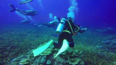 Sualtı grup tüplü dalgıçlar Mavi bir açık su yüzme fotoğrafını.