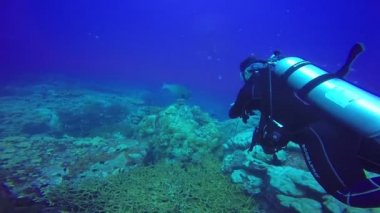 Mavi açık suda yüzen bir scuba dalgıçlar sualtı çekimi.