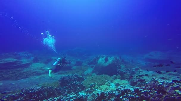 Mavi açık suda yüzen bir scuba dalgıçlar sualtı çekimi. — Stok video