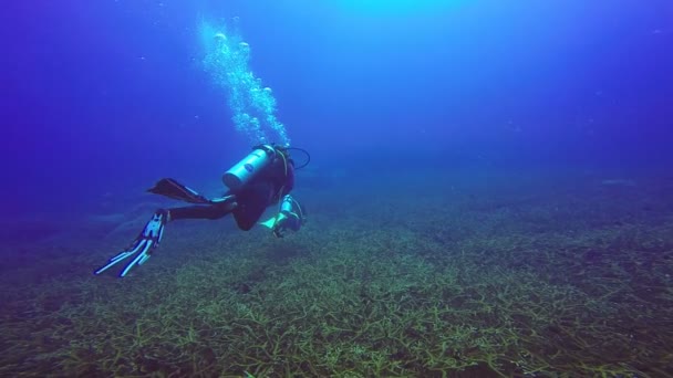 Mavi açık suda yüzen bir scuba dalgıçlar sualtı çekimi. — Stok video