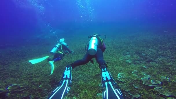 Slow Motion: Brote submarino de un par de buceadores nadando en un agua azul clara . — Vídeos de Stock