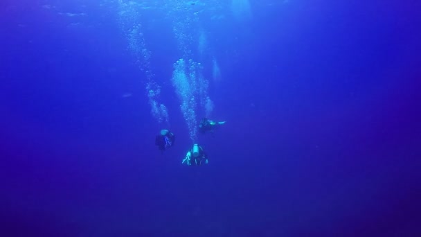 Onderwater shot van de groep duikers in een blauwe heldere water zwemmen. — Stockvideo