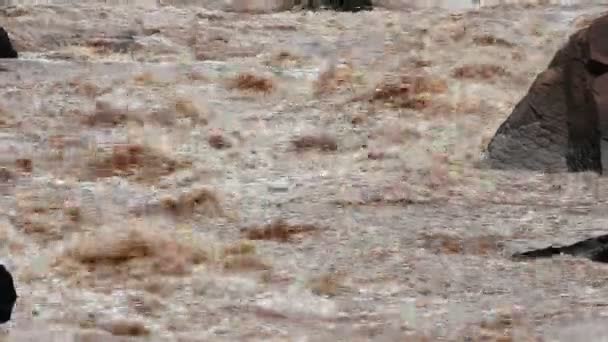 Rivière en Thaïlande avec des rapides d'eau vive faisant rage est un favori des chevrons . — Video