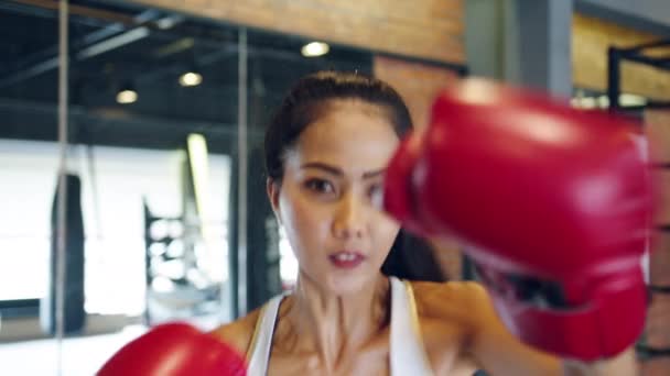 Νεαρή Ασιάτισσα Κυρία Kickboxing Προπόνηση Γροθιά Κάνει Σκιά Θηλυκό Μαχητής — Αρχείο Βίντεο