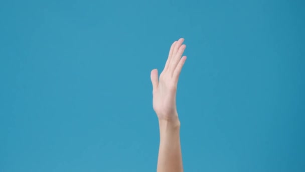 Giovane Mano Donna Mostrando Segno Con Dita Isolate Sfondo Blu — Video Stock