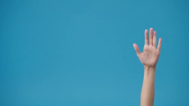 Young Woman Hand Shows Something Amazing Blank Space Isolated Blue — Stock Video