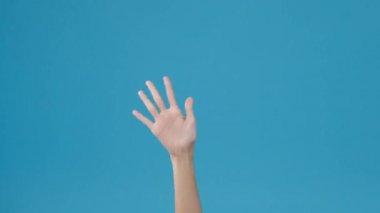 Selam veren genç bir kadın, elveda derken mavi arka planda izole edilmiş el hareketlerini yapıyor. Yer için bir metin, reklam için bir mesaj kopyala. Reklam alanı, tanıtım içeriğini düzenle.