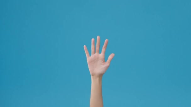 若い女性の挨拶を振って 別れの手のジェスチャーを青色の背景に隔離させる テキスト 広告のメッセージを配置するためのスペースをコピーします 広告エリア プロモーションコンテンツをモックアップ — ストック動画